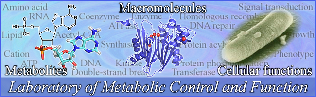 Laboratory of Metabolic Control and Function