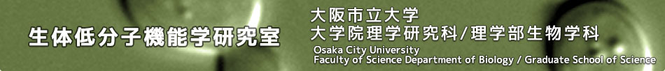 大阪市立大学　生体低分子機能学研究室